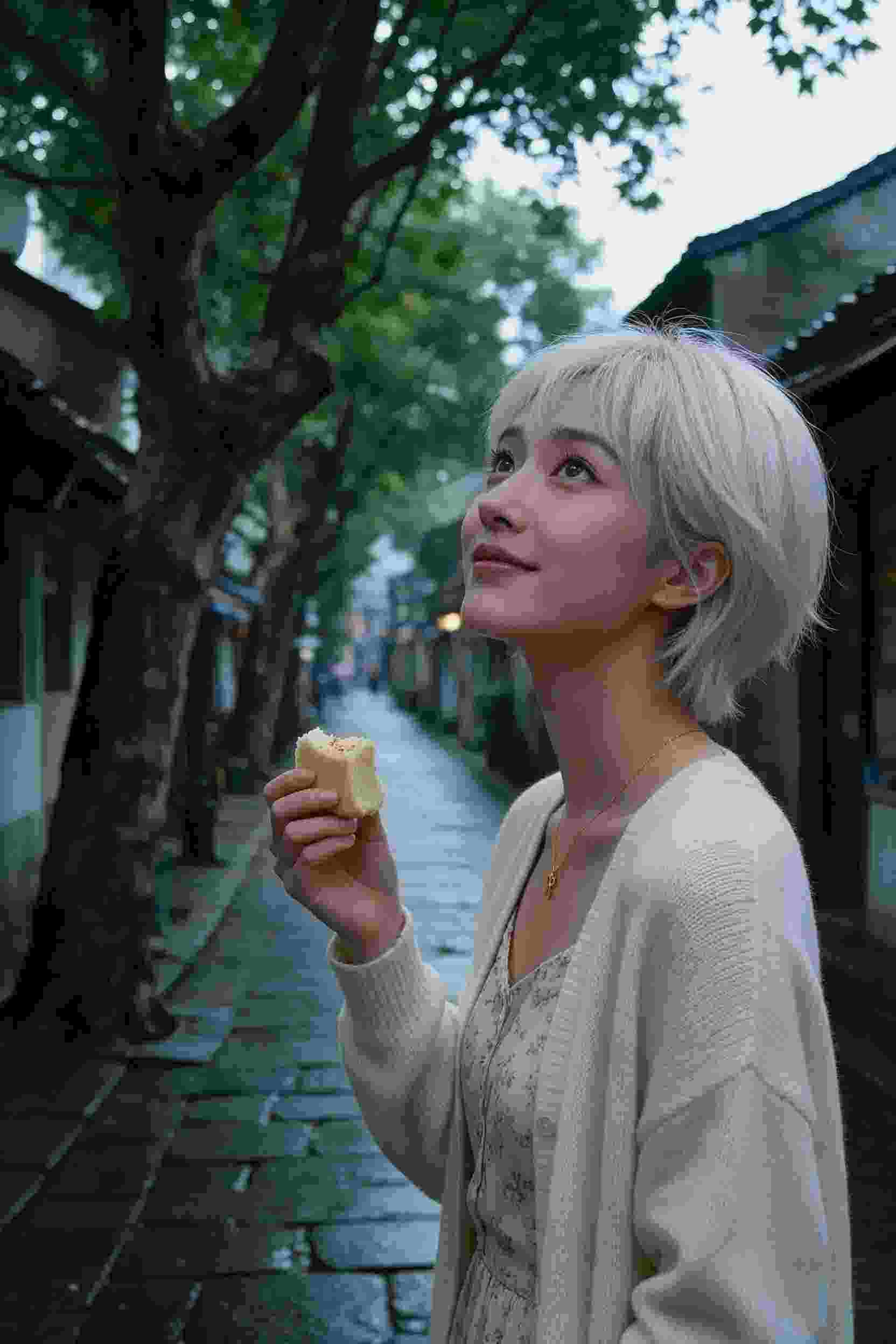 幻梦序章